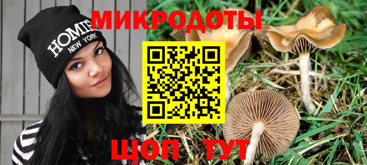 Галлюциногенные грибы Psilocybine cubensis Владимир